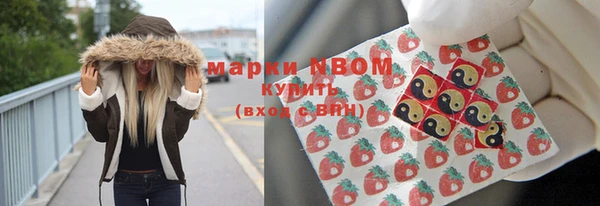 apvp Алзамай