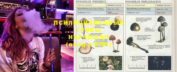 кокаин VHQ Алексин