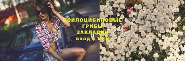 apvp Алзамай