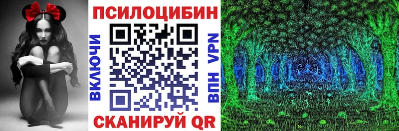 мега как зайти  Трубчевск  Галлюциногенные грибы Psilocybe  купить наркотик 